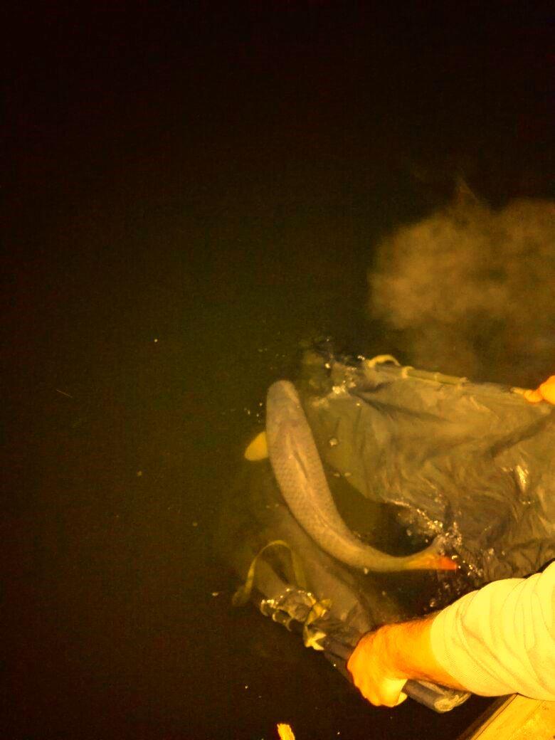 Hermes Peris 21 - 22 mar. - img-20150322-wa0009.jpg